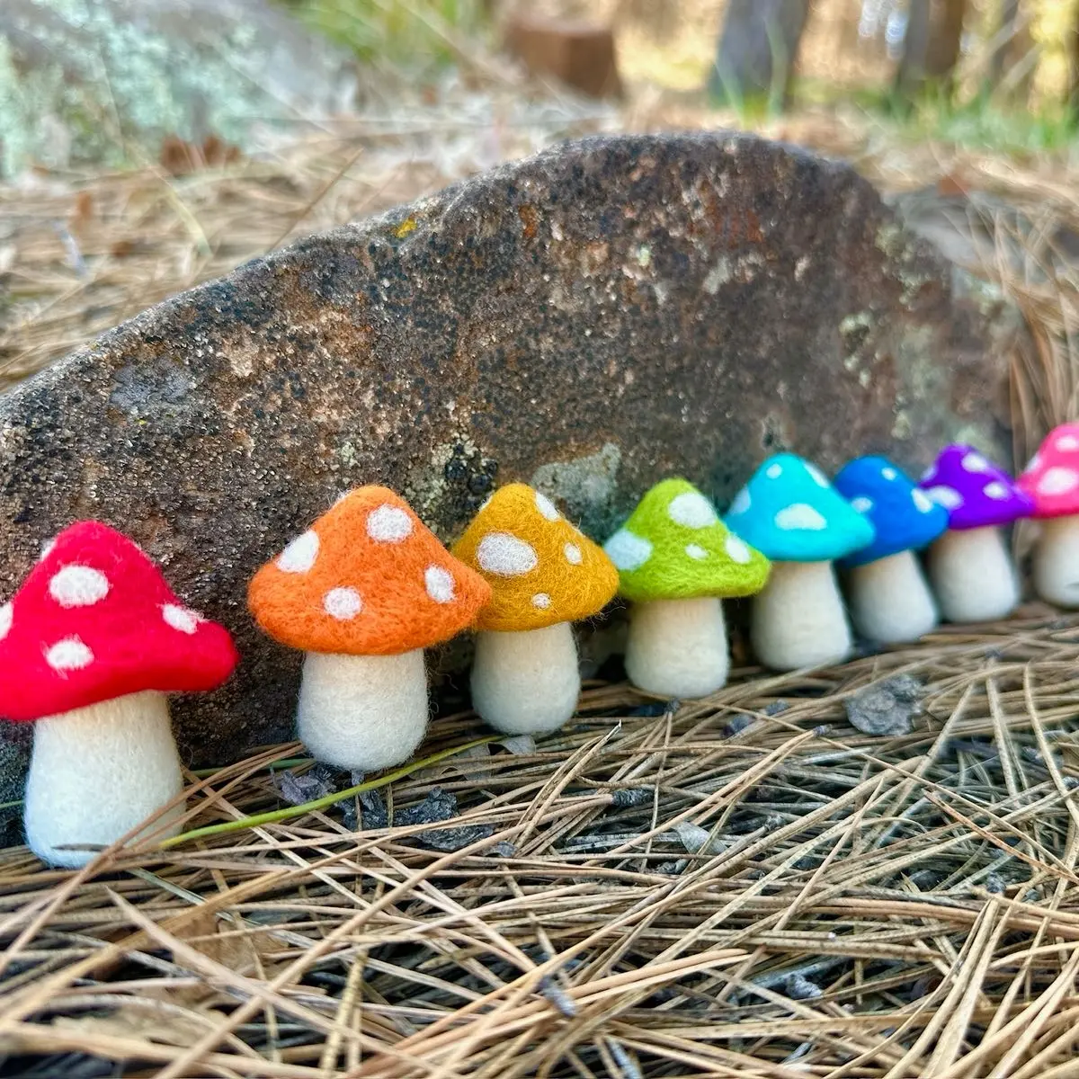Easy Needle Felt Toadstools, Mushrooms Art Kit with Tutorial Access, Pattern, All Levels Needle Felting Kit, Craft Kit, Beginner Felting