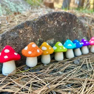 Easy Needle Felt Toadstools, Mushrooms Art Kit with Tutorial Access, Pattern, All Levels Needle Felting Kit, Craft Kit, Beginner Felting