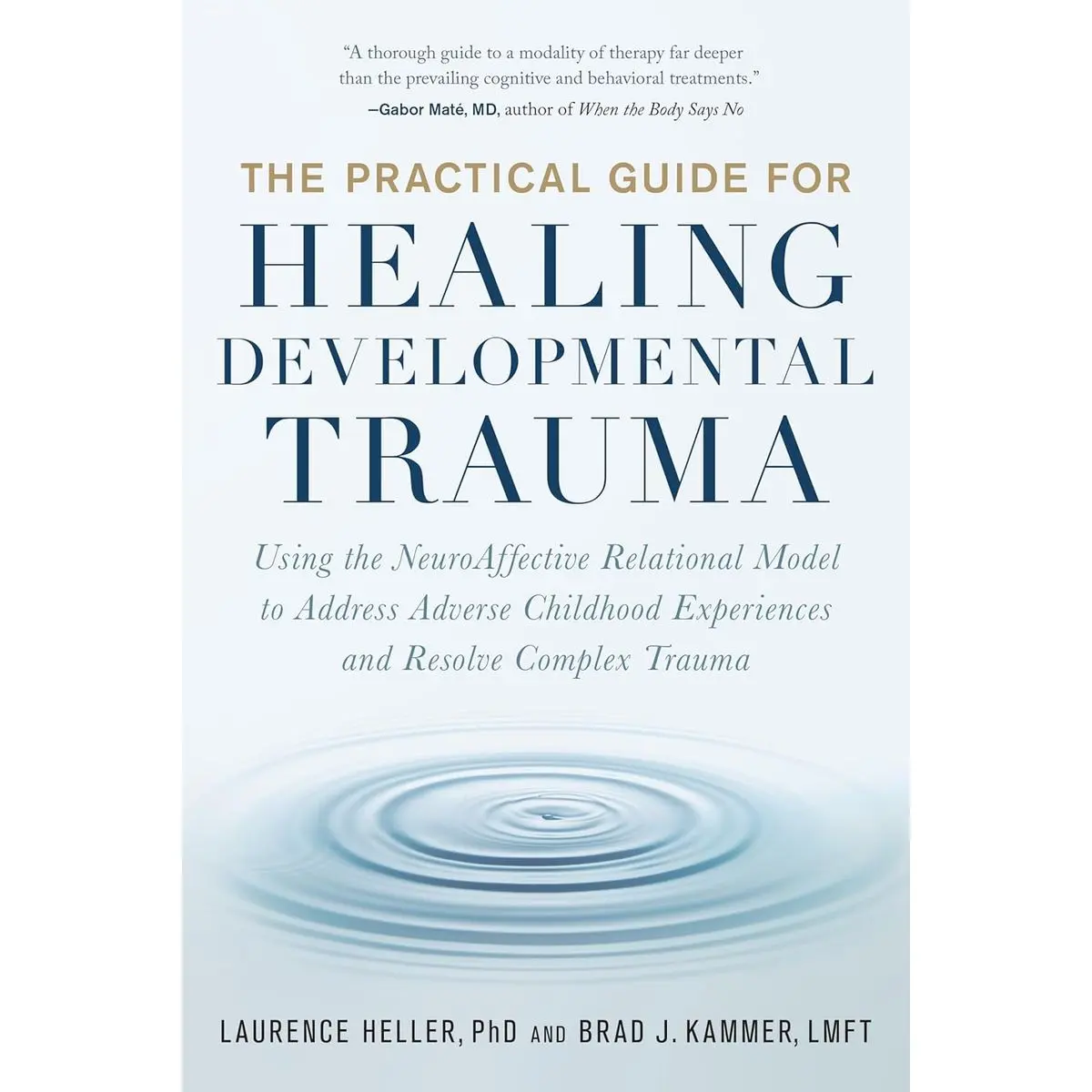 The Practical Guide for Healing Developmental Trauma: Using the NeuroAffective Relational Model to Address Adverse Childhood Experiences and Resolve Complex Trauma Paperback – July 26, 2022