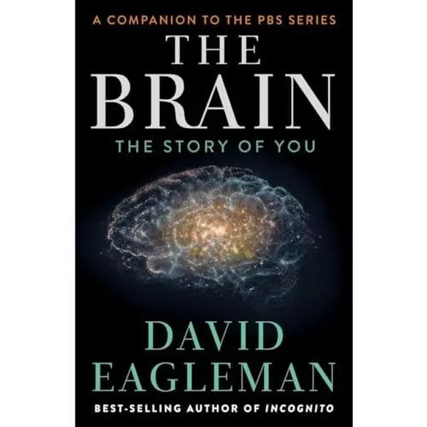 USED Book - The Brain: The Story of You by Eagleman, David (Hardcover) - english