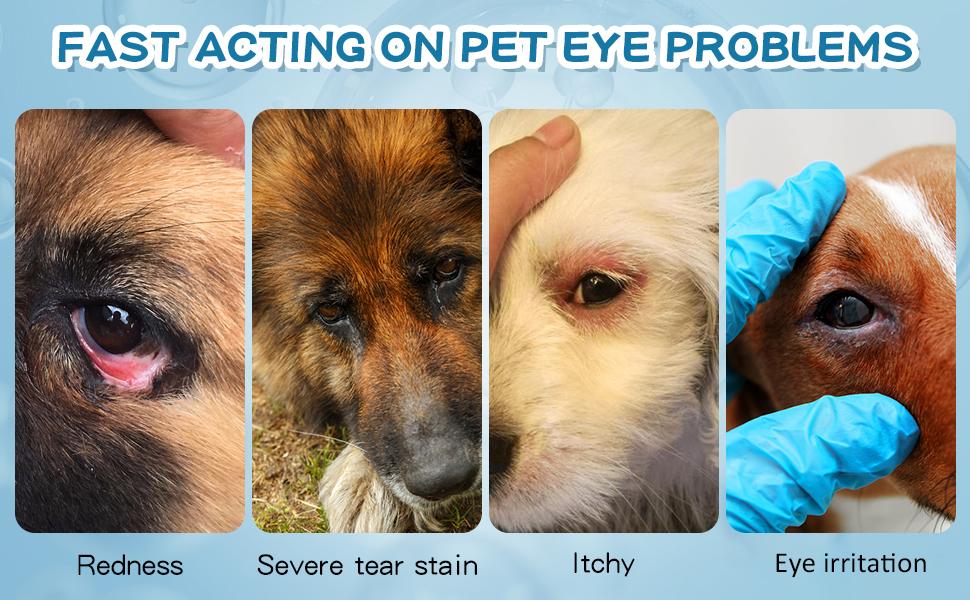 MORIKEY Pet Eye Drops Gentle Eye Care for Dogs and Cats Relieves Itching and Irritation Removes Tear Stains Safe Daily Use