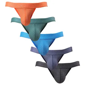 Men's Sexy Mesh Briefs Underwear, Low Rise Comfortable Lightweight Bulge Pouch Male Underwear, 5 Pack Multicolor All-Day Essential