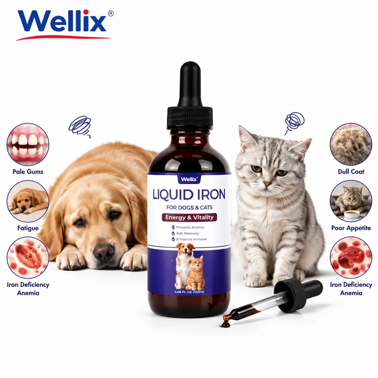 4oz Liquid Iron Supplement for Cats&Dogs-Vitamin B12&C-Cat Anemia Supplements, Hemoglobin Support,Lethargy,Pregnant Cat&Dog Essentials,Kitten & Puppy Supplements-Large Volume