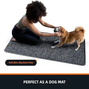 Indoor Doormat Machine Washable Soft Non-Slip Dust-Free Entrance Rug 24"x36" Perfect for Dogs & Multiple Scenarios Kitchen Bathroom Pets Mats
