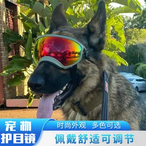 Dog Pet Glasses Outdoor Sports Pet Sunglasses Medium and Large Dog Sunglasses