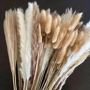 NortureFlora Natural Pampas Grass Dried Flower Bundle - 100/200/300/400PCS, Boho Decor for Weddings, Bedroom Aesthetic & DIY Arrangements