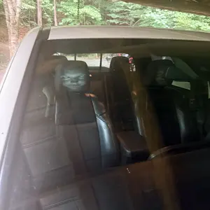 review image 6