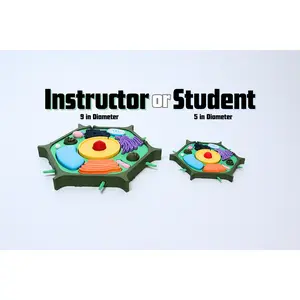 3D Plant Cell Model classroom
