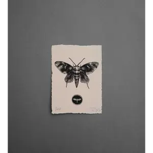 Moth 2 - Print