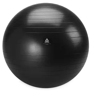 Weighted Stability Ball 55CM -75CM with Pump Included, Ideal for Weightlifting and Exercise