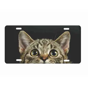 Cat peeking novelty front license plate cats eyes decorative custom vanity car tag