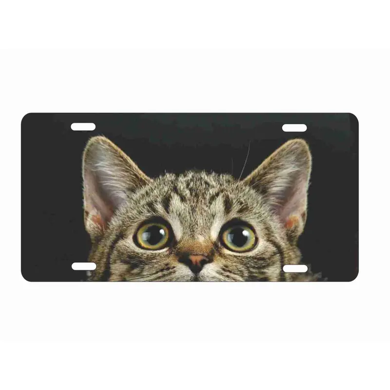 Hello Kitty And Friends Halloween License Plate Frame | Hot Topic