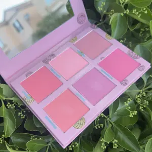 MetamorphosisBF Corp Conchita Blush Palette Matte Blush Powder - Six Pan Pink Shades for Natural Look - Soft Wash & Custom Shades - Beautycosmetics Makeup Cosmetics Products