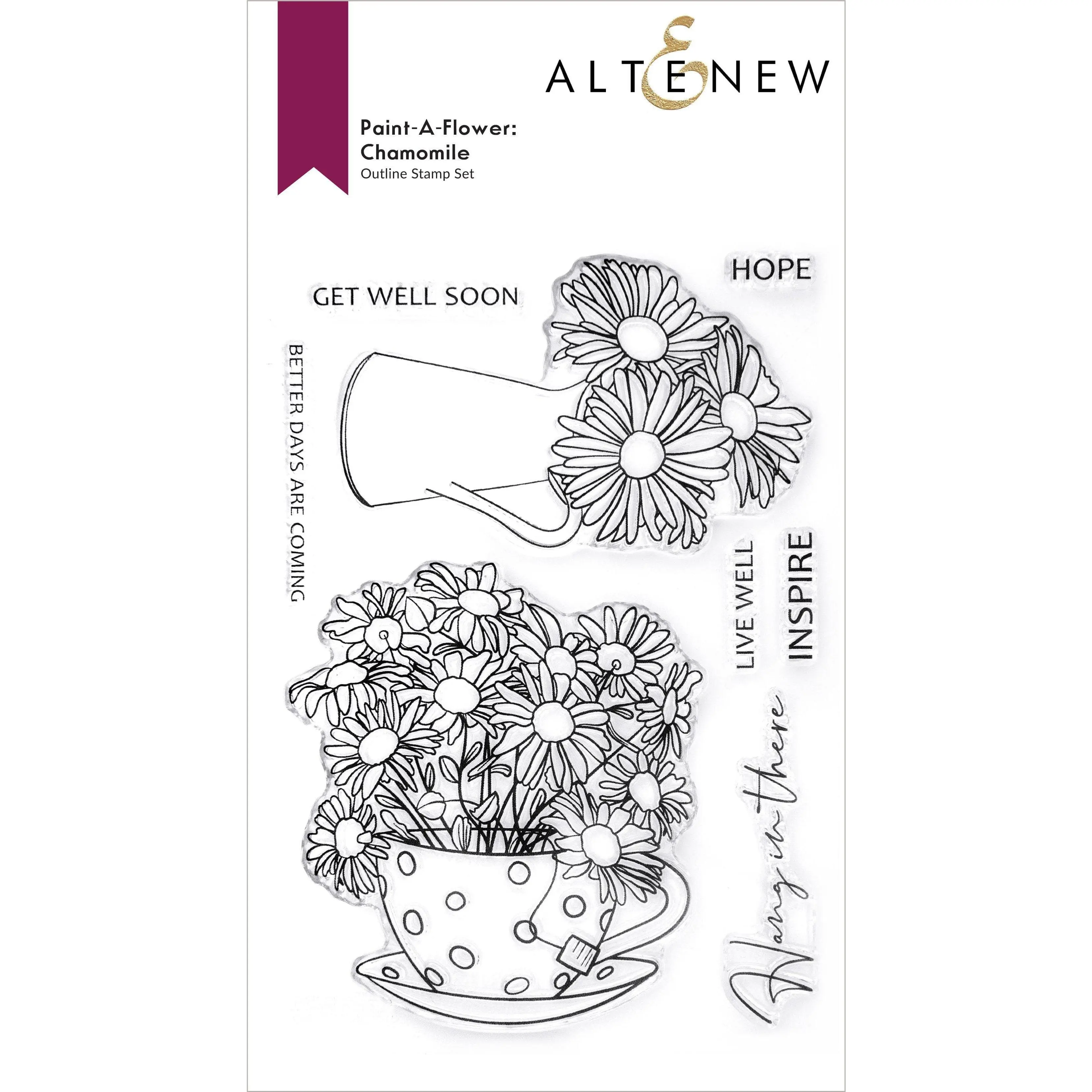 Paint-A-Flower: Chamomile Outline Stamp Set
