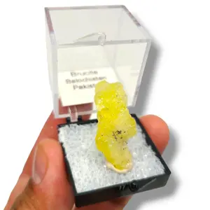 Brucite Pakistan - Vibrant Specimens from Balochistan in Perky Boxes