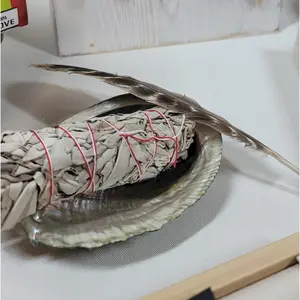 Wellness Smudge Set: Sage, Abalone Shell, Turkey Feather