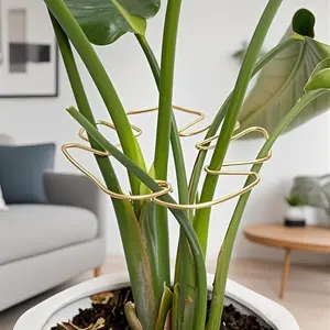 Durable Monstera Support System, Metal Climbing Plant Trainer with Bamboo Handles, Promotes Healthy Growth, Safe and Aesthetic Garden Structure, Planter Trellis