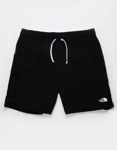 THE NORTH FACE Action 2.0 Mens Shorts