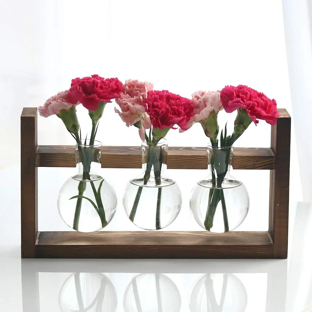 Plants Terrarium,Propagation Station, Plants Lover Gifts for Women, Plant Cutting Holder Home décor, Gifts for Women,House Warming New Home-3 Bulbs