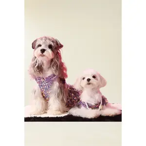 Fancy Sequins Dress