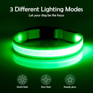 Vizpet LED Dog Collar, Light up Dog Collar Adjustable USB Rechargeable Super Bright Safety Light Glowing Collars for Dog(Small,Green) Bisen