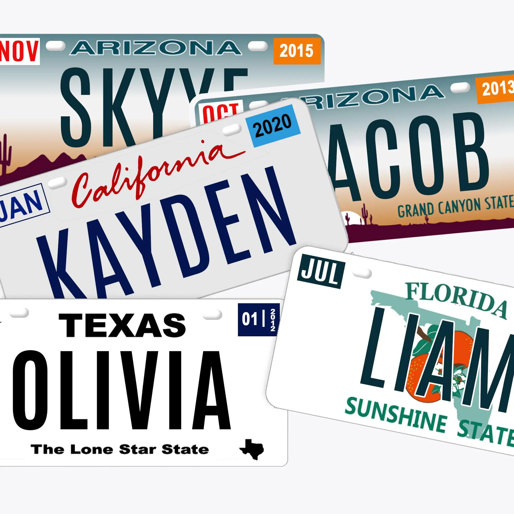 Custom State License Plates 6x12, Personalized Front Car Tag, Novelty State Souvenir, Collectible Plate Gift, USA State Decor, Fathers Day Gift Ideas, Goth Oddities Decor