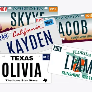 Custom State License Plates 6x12, Personalized Front Car Tag, Novelty State Souvenir, Collectible Plate Gift, USA State Decor, Fathers Day Gift Ideas, Goth Oddities Decor