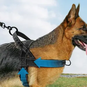Dog Friendly Co. Harness - Easy to Fit No-Pull Design - Safe Secure and Comfortable - Ideal for All Dogs - Chafe-Resistant Lightweight Straps - Adjustable Straps for Perfect Fit