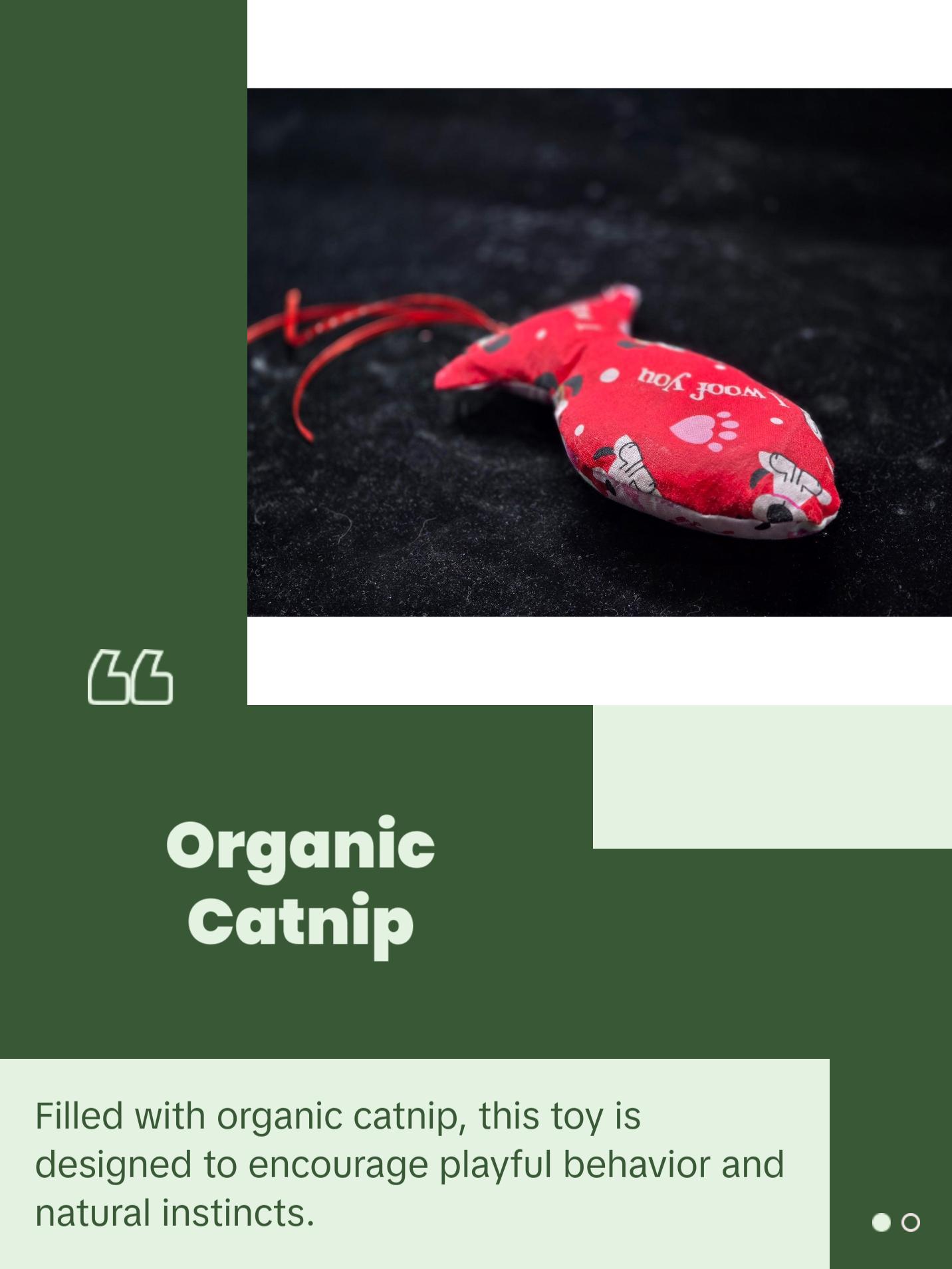 VIOLETT COLLECTION    Kitty Crinkle Toy With Cat Nip- New Themes Monthly