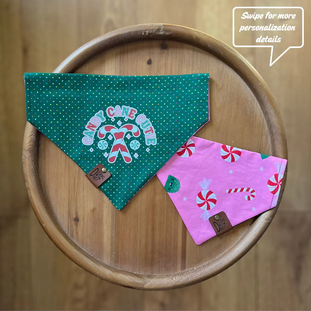 Candy Cane Cutie / LAST CHANCE / Reversible / Over-the-Collar / Pet Bandana
