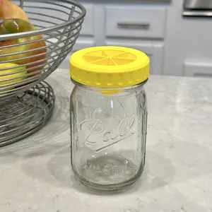 MASON JAR Fruit Fly Catcher Lid with Large Opening for Standard 2.75" Mason Jars