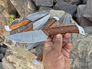 6 Pcs Set Damascus Steel Steak Knife Set 6 Pcs