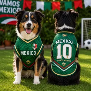 Personalized Mexico Pet Soccer Jersey, Custom Dog Football Shirt, Name Number Gift