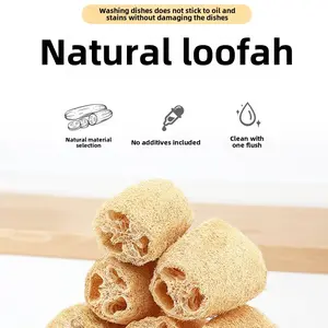 Pure Natural Loofah Dishwashing Cloth Water Gourd Pot Brush Stain Removal Non-Stick Oil Scouring Pad Dishwashing Magic Dry Loofah Sponge (rregular Diameter and Thickness)