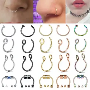 20-Piece No-Piercing Septum Ring Set, Assorted Fake Nose Rings with Clip-On, Spring-Loaded and Magnetic Styles, Multi-Color Metal Septum Jewelry for Everyday & Festival Styling
