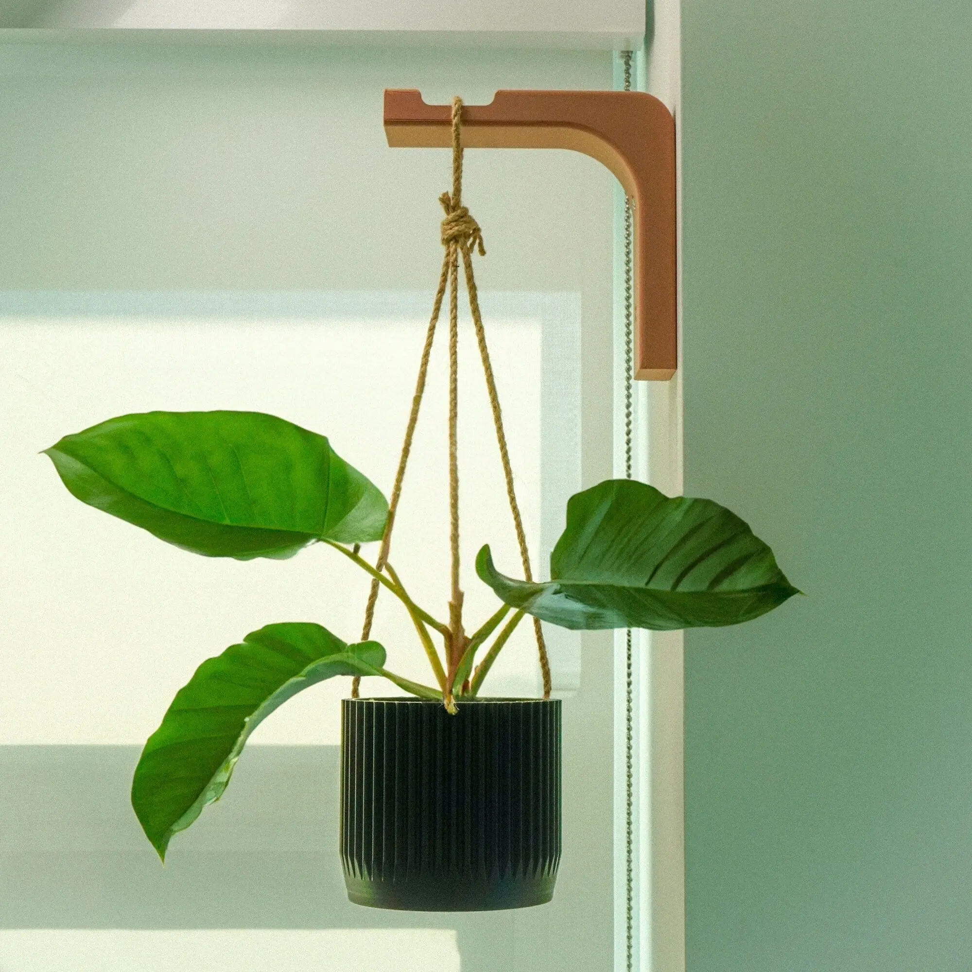 Minimal Modern Hanging Planter Wall Hook Minimal Modern Hanging Planter Wall Hook