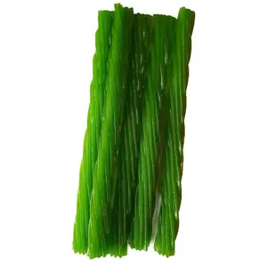 Green Apple Licorice Twists Green Apple Licorice Twists
