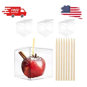 20 Pack 4''x 4'' x 4'' Clear Candy Apple Boxes with Hole and Sticks Set