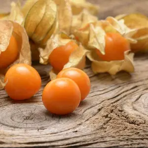 Pinapple Ground Cherry ( 30 Seeds