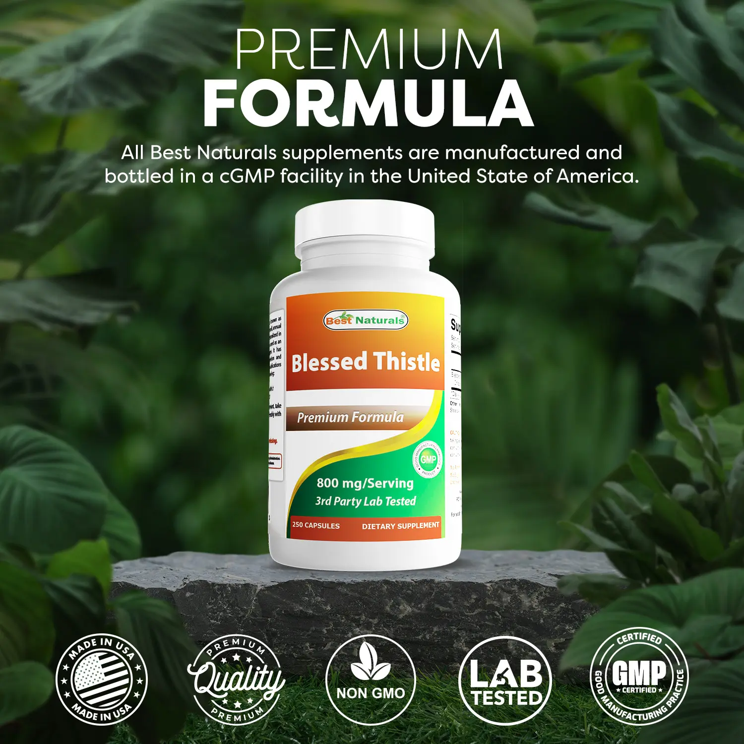 Best Naturals Blessed Thistle 800mg/serving 250 Capsules Non-GMO Gluten Free USA Made Lab Tested Dietary Supplement
