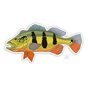 Casey Underwood Peacock Bass Decal