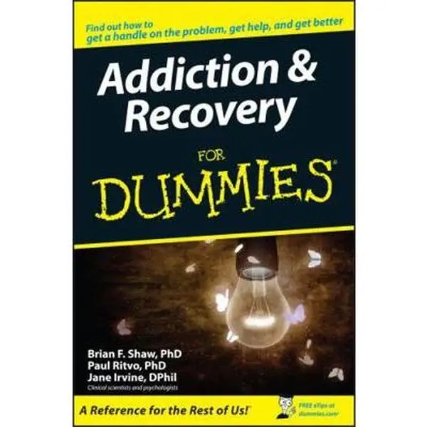 USED Book - Addiction & Recovery for Dummies by Ritvo, Paul (Paperback) - english