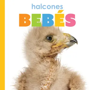 Halcones bebés