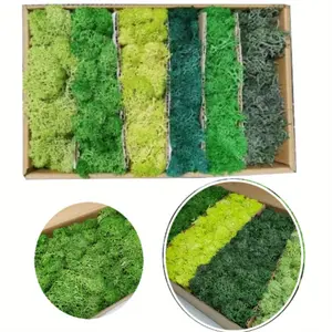 240g Pack of Lifelike Artificial Moss - Durable Plastic, Perfect for DIY Terrariums, Garden Decor & Home Accents, Adds Natural Aesthetic, Moss for Crafts, Outdoor Use, Garden Terrarium Supplies Decorative Fruit