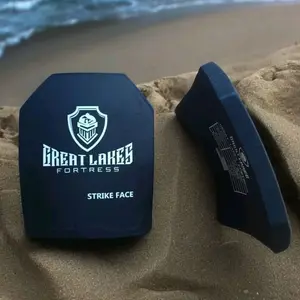 2pcs L V L3  11*1’4’’ inserts weights only 1lb workout weight plates 3Lb each