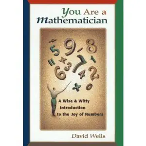 USED-You Are a Mathematician: A Wise and Witty Introduction to the Joy of Numbers by David Wells (Hardcover)