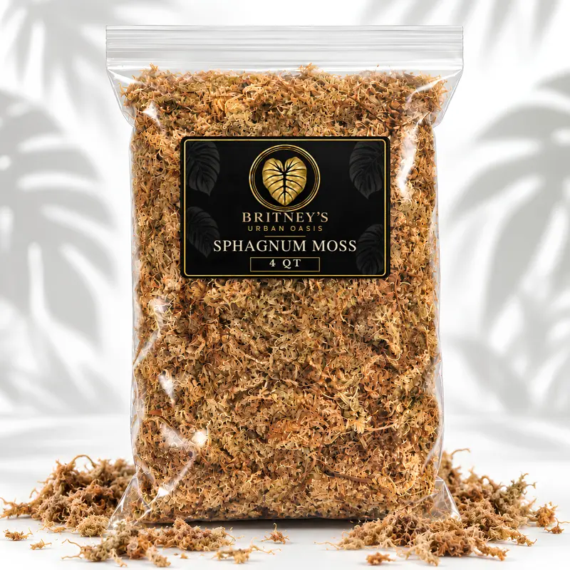 Long-Fiber Sphagnum Moss | Natural Moisture-Retentive Substrate