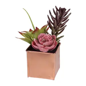 Northlight 7" Artificial Potted Mixed SucculentArrangement
