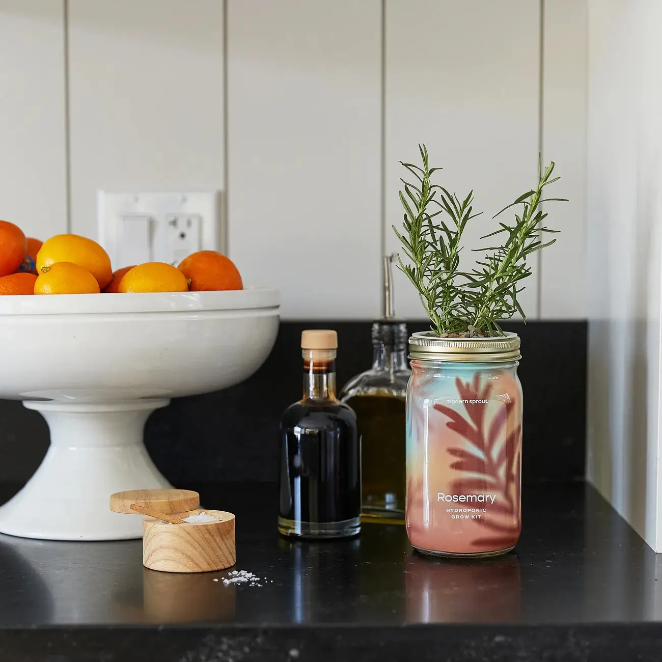 Hydroponic Garden Jar - Rosemary