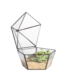 NCYP Modern Glass Jewelry Box Terrarium with Swing Lid, Geometric Pentagon Shape Terrarium for Succulents, Fern, Home Nature Garden Tabletop Planter, Terrarium Only, Tropical Transparent Decor, jewelry box, jewelry organizer, Decorative Decor